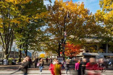 View of Massachusetts Avenue with several people walking across a crosswalk with fall foliage in the background