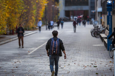 Rear view of a person walking on a brick walkway with several other pedestrians visible in the foreground