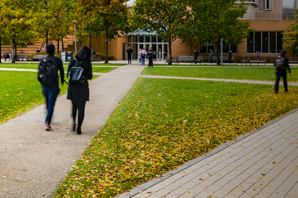 Several people walking through on MIT’s Hockfield court, a grass covered, tree lined courtyard with brick and concrete footpaths 